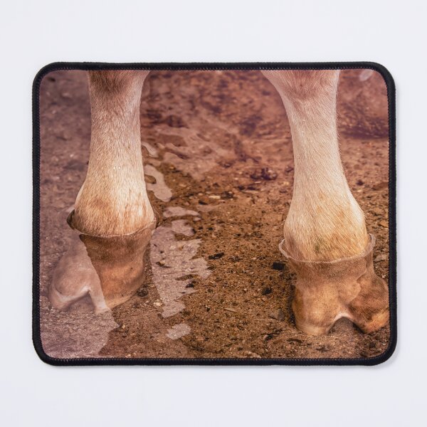 Item preview, Wet Hooves And Dirty Knees designed and sold by Jim Love.