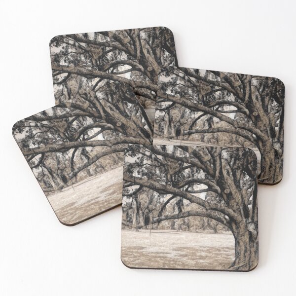 Item preview, Trees On the Grounds of Jean Lafitte National Historical Park  Louisiana designed and sold by Debra Martz.