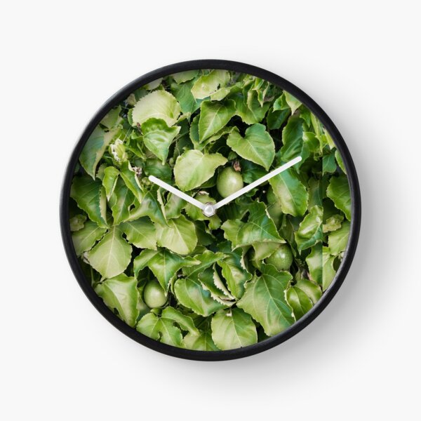 Passion-fruit Plant with Fruit Clock