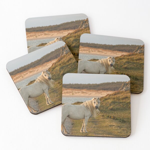 Item preview, Llanddwyn wild horse designed and sold by Paul Madden.
