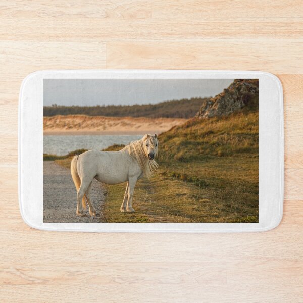 Item preview, Llanddwyn wild horse designed and sold by Paul Madden.