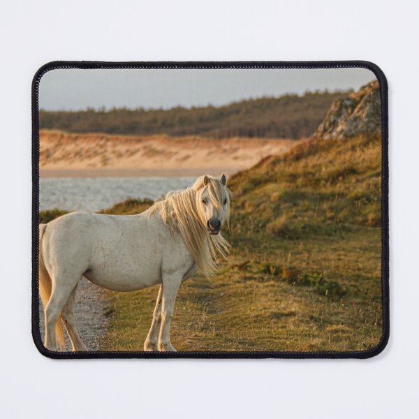 Item preview, Llanddwyn wild horse designed and sold by Paul Madden.