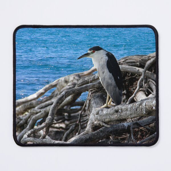 Item preview, I Think I See a Fish! designed and sold by heatherfriedman.