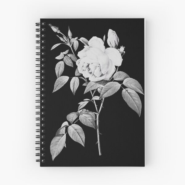 Aperçu de l'œuvre Rosa Indica Fragrans Flower, Illustration alternative - Rose grise et blanche créée et vendue par DaphneKstudio .
