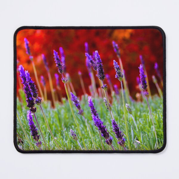 Item preview, Lavender designed and sold by indiafrankk.
