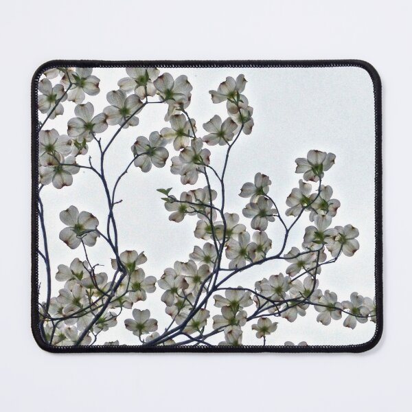Item preview, White Dogwood designed and sold by Frankie Cat Photography.