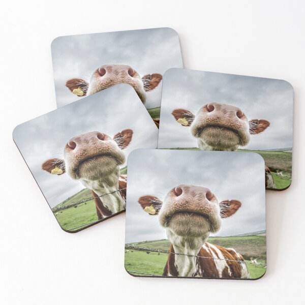 Item preview, Silly Cow designed and sold by heidipics.