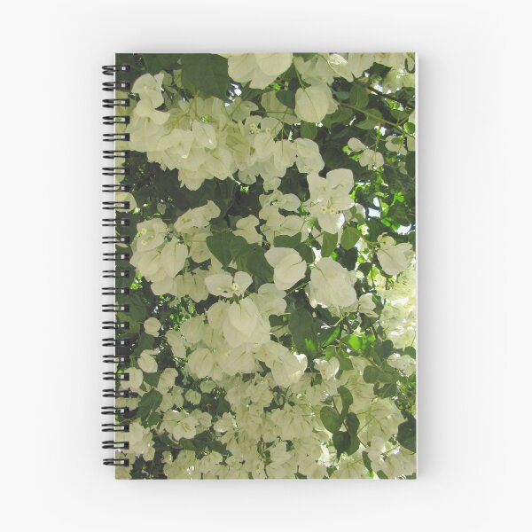 Item preview, bougainvillaea white troical flower designed and sold by designer437.
