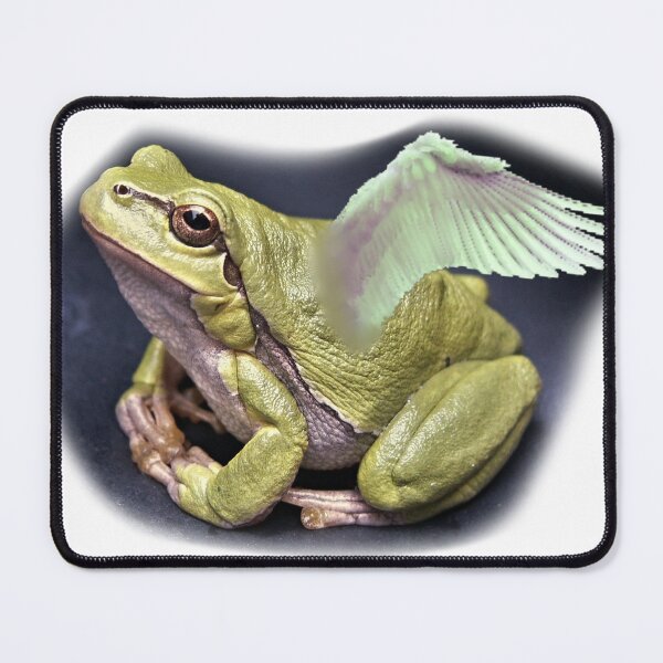Item preview, Frog Angel designed and sold by Jessi-Sketches.