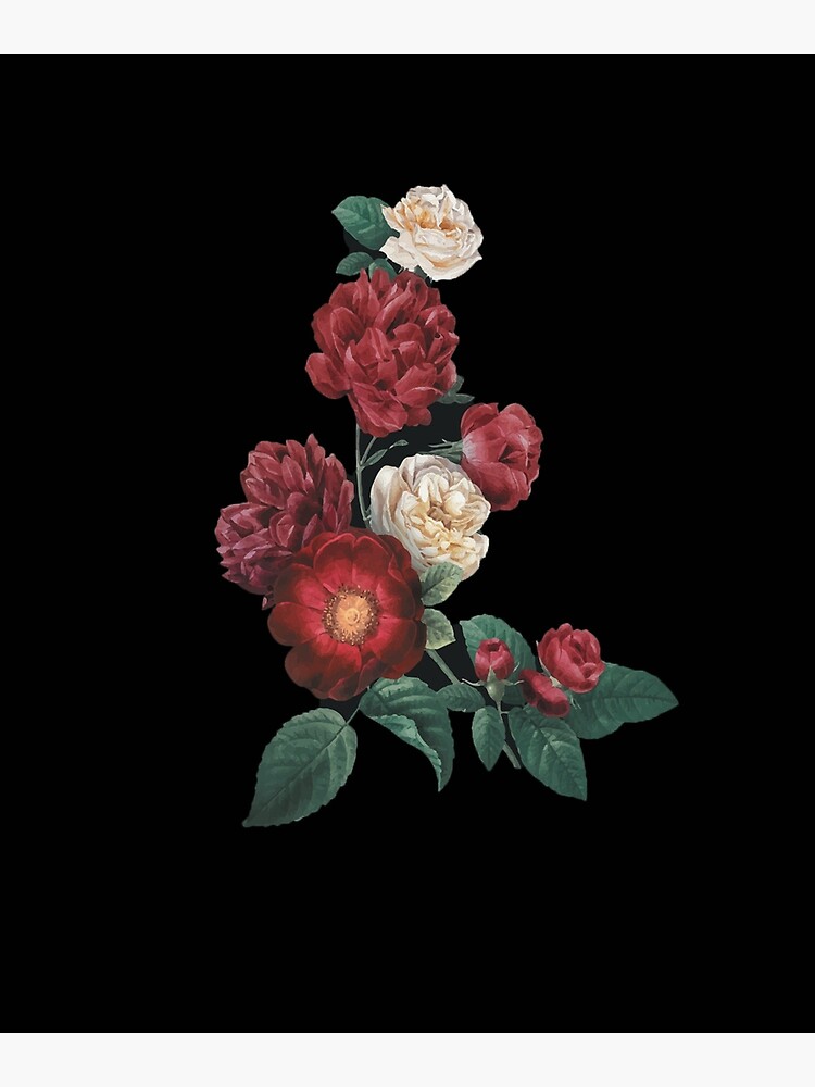 "roses of remembrance ,white and red color" Poster for Sale by