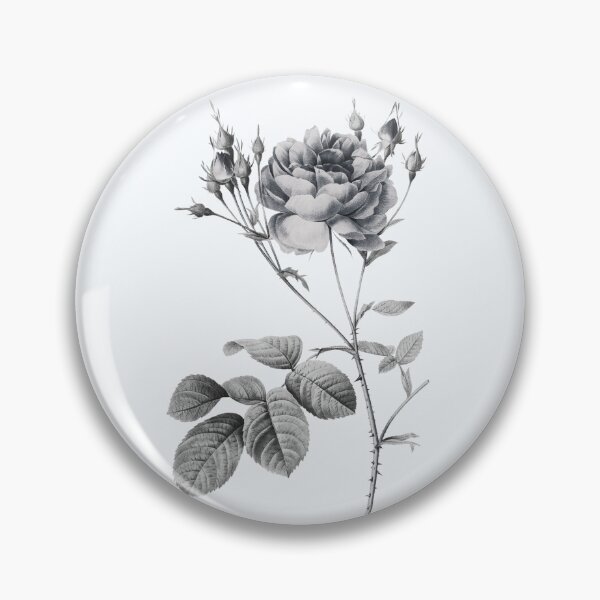 Item preview, Cumberland Rose Flower, Alternative Illustration - Grey and White Rose designed and sold by DaphneKstudio .
