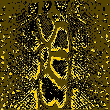 Artwork thumbnail, Python Skin Design by DesignFantazia