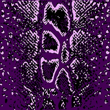 Artwork thumbnail, Python Skin Design by DesignFantazia