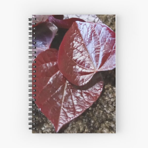 Item preview, BLACK PEARL REDBUD designed and sold by PCCARES.