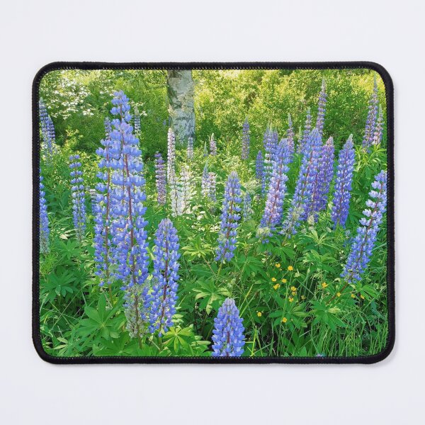 Item preview, Lupinos | Lupin | Swedish Spring | Forest designed and sold by iwaya-bazaar.