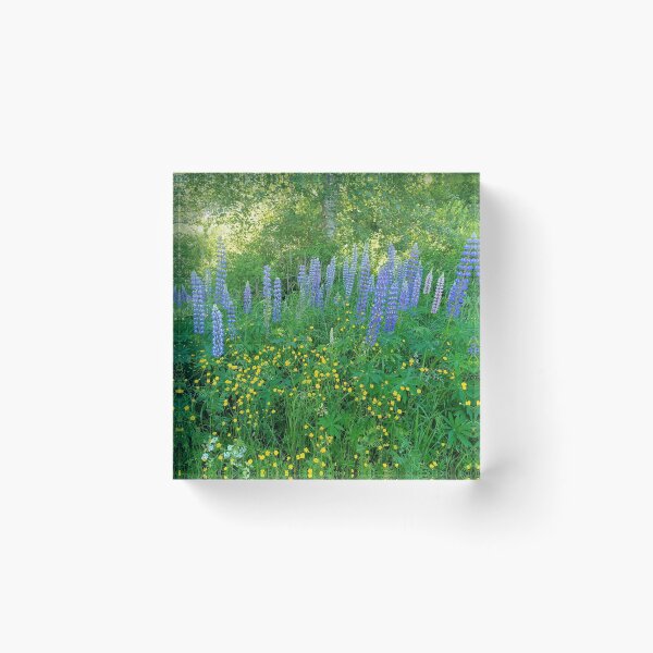 Item preview, Lupinos II | Lupin | Swedish Spring | Forest designed and sold by iwaya-bazaar.