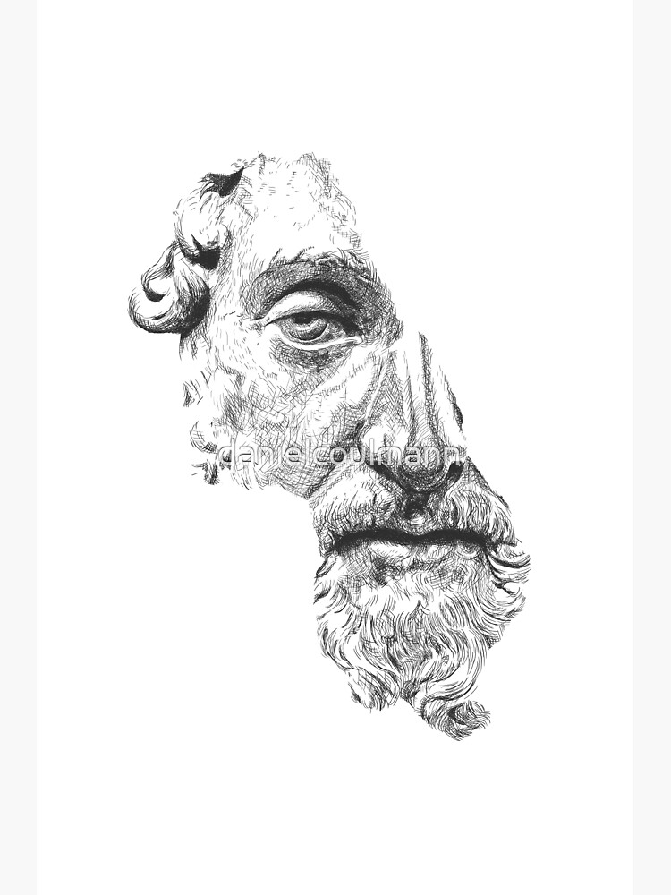 MARCUS AURELIUS ANTONINUS AUGUSTUS / black and white von danielcoulmann