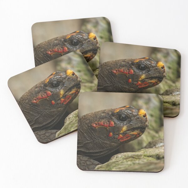 Item preview, Red-Footed Tortoise designed and sold by rawshutterbug.