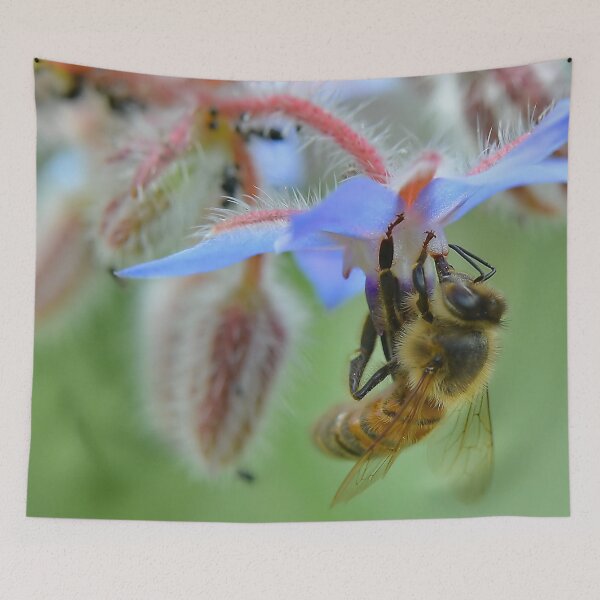 Item preview, Bee on Borage Flower designed and sold by relayer51.