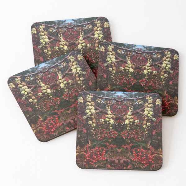Item preview,  II Blossoms of Scarlet and Cream  herald the return of Bees and Springtide at the RTBG  designed and sold by RoseAromas.