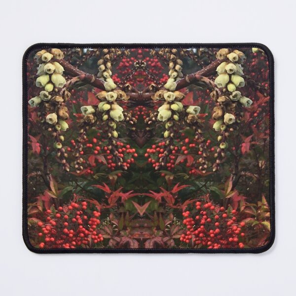 Item preview, II Blossoms of Scarlet and Cream herald the return of Bees and Springtide at the RTBG designed and sold by RoseAromas.