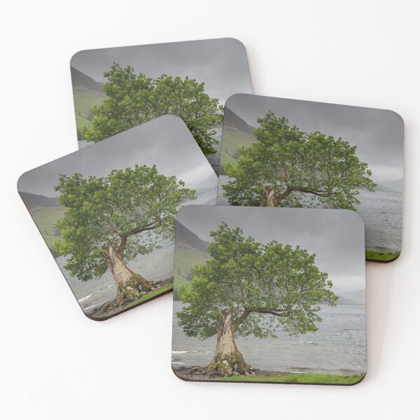 Item preview, Lone Tree at Crummock Water designed and sold by heidipics.