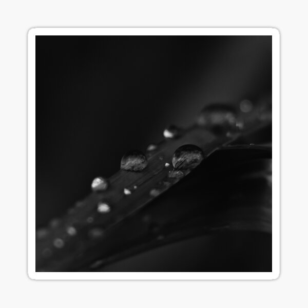 "BLACK AND WHITE SHIRT" Sticker for Sale by THESHIRTROYALTY Redbubble