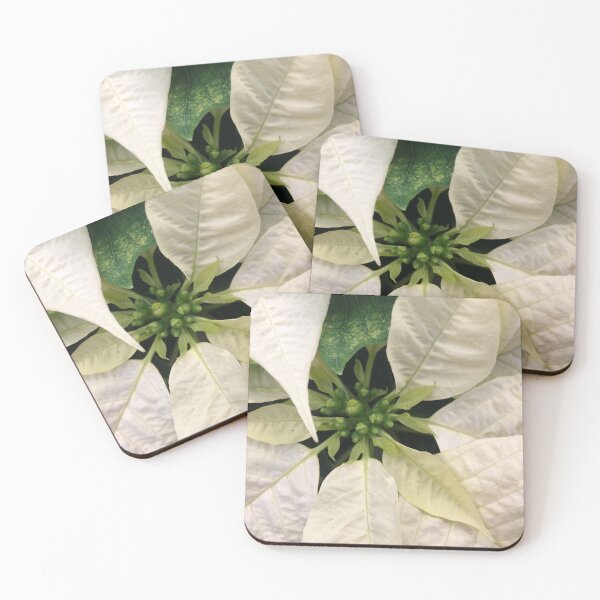 Item preview, A White Christmas Poinsettia of Peace Joy and Harmony designed and sold by Photomersion.