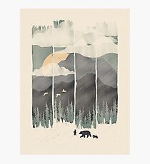 Spring Mountain Weather Photographic Print