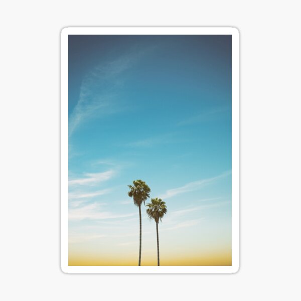 Stay Close to Me (Florida Palms) Sticker
