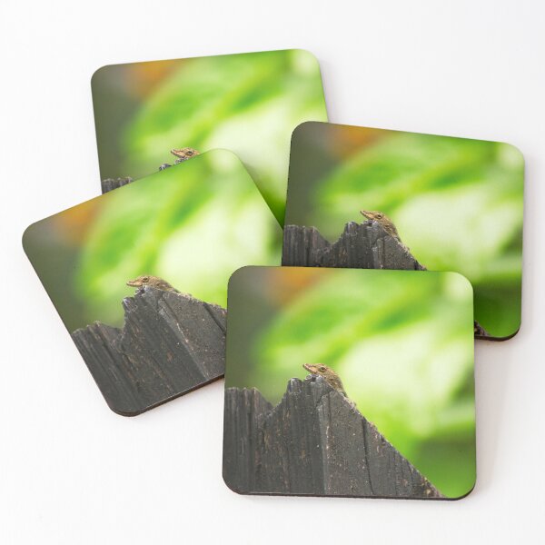 Item preview, Anolis cristatellus in El Yunque National Forest (full image) designed and sold by Maritza Morales.