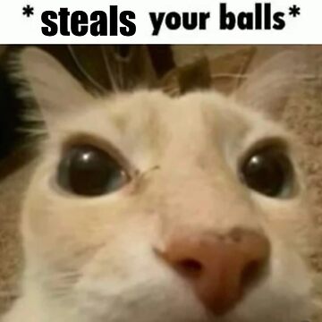 Big Floppa Cat Meme Your Balls I Require Them Cat in the 