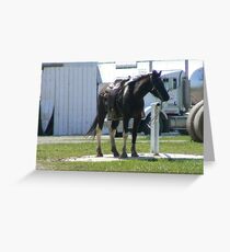 hitching post Greeting Card