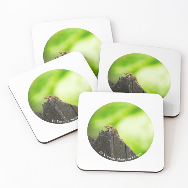 Item preview, Anolis cristatellus in El Yunque National Forest designed and sold by Maritza Morales.