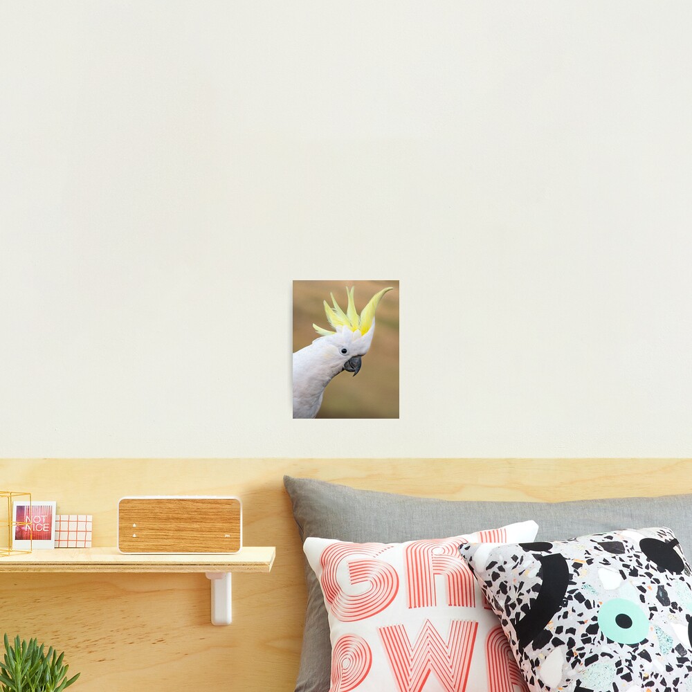 Item preview, Photographic Print designed and sold by LisbethWestra.