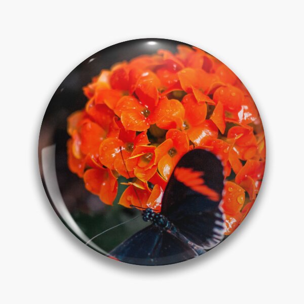 Item preview, Butterfly perched on an orange flower in a garden designed and sold by Michael Deemer.