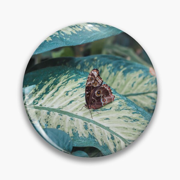 Item preview, Brown butterfly perched on a large leaf designed and sold by Michael Deemer.