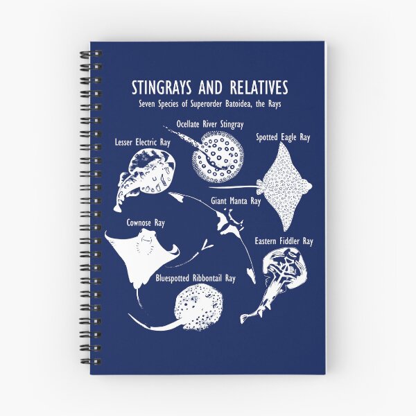 Item preview, Stingray Species: Manta Ray, River Stingray, and More (in white) designed and sold by ELMayer.