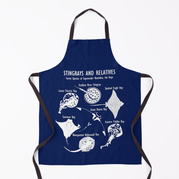 Item preview, Stingray Species: Manta Ray, River Stingray, and More (in white) designed and sold by ELMayer.