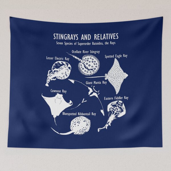 Item preview, Stingray Species: Manta Ray, River Stingray, and More (in white) designed and sold by ELMayer.