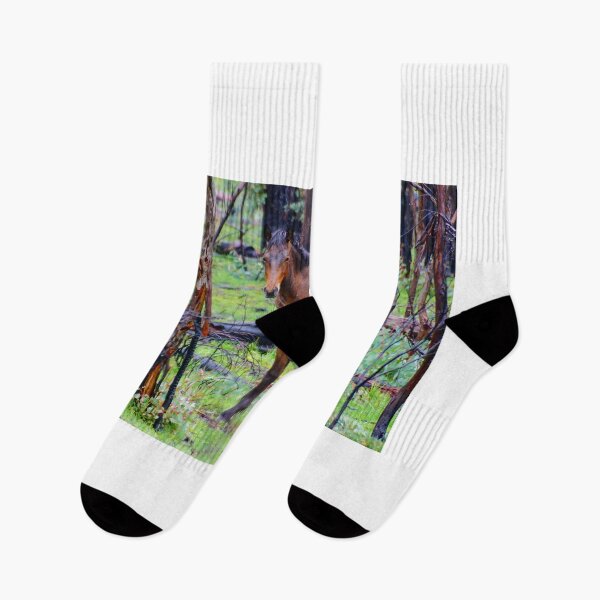 Item preview, Alpine Brumby in the Rain designed and sold by D-GaP.