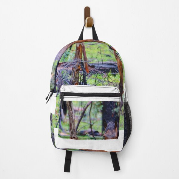 Item preview, Alpine Brumby in the Rain designed and sold by D-GaP.