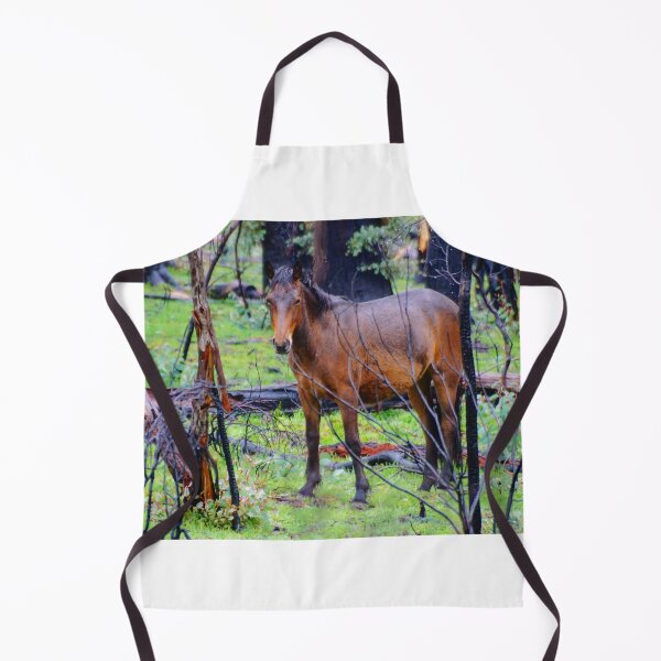 Item preview, Alpine Brumby in the Rain designed and sold by D-GaP.