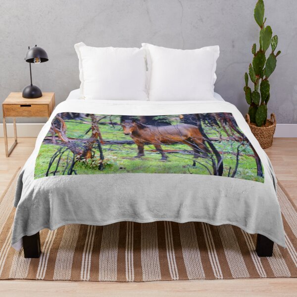 Item preview, Alpine Brumby in the Rain designed and sold by D-GaP.