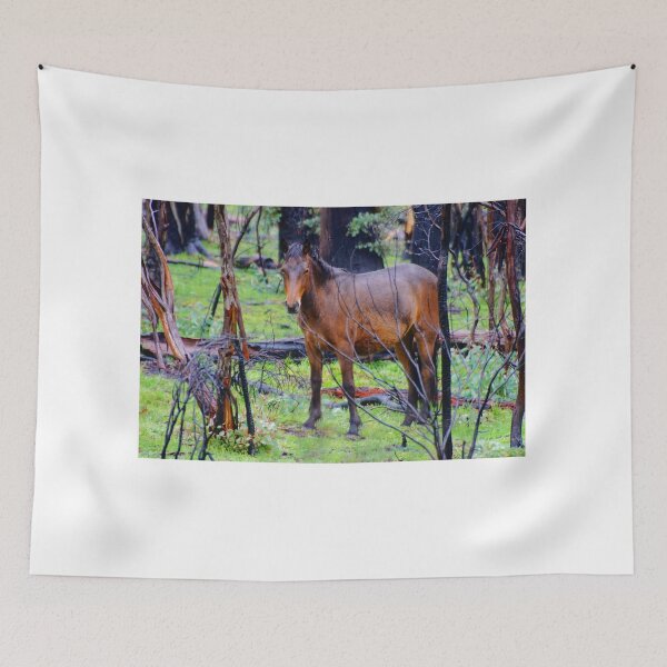 Item preview, Alpine Brumby in the Rain designed and sold by D-GaP.
