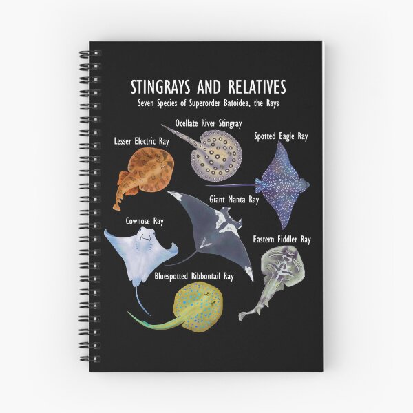 Item preview, Stingray Species: Manta Ray, River Stingray, and Relatives designed and sold by ELMayer.