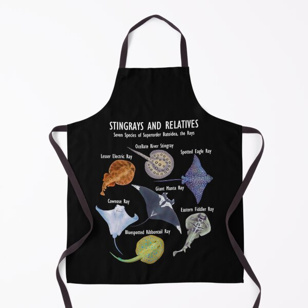 Item preview, Stingray Species: Manta Ray, River Stingray, and Relatives designed and sold by ELMayer.