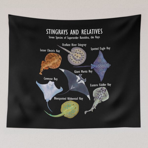 Item preview, Stingray Species: Manta Ray, River Stingray, and Relatives designed and sold by ELMayer.
