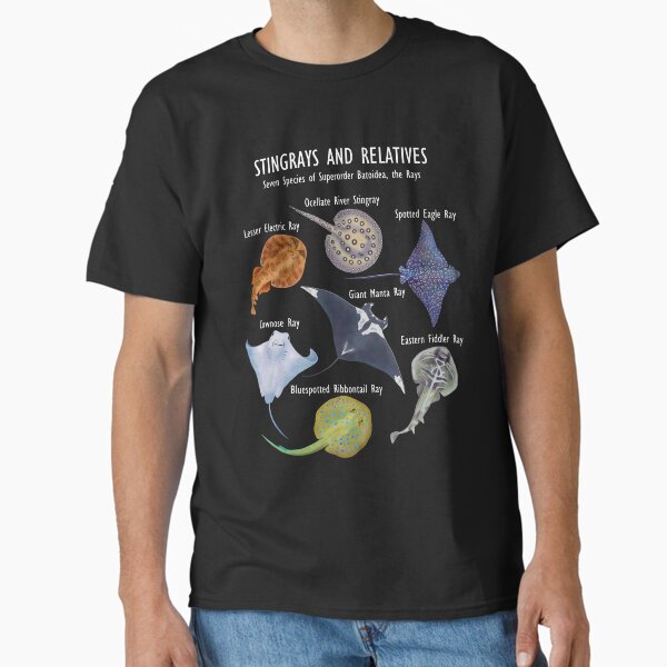 Item preview, Stingray Species: Manta Ray, River Stingray, and Relatives designed and sold by ELMayer.