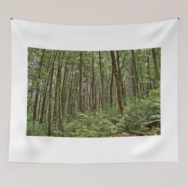 Item preview, Into The Woods  designed and sold by Lanis Rossi.